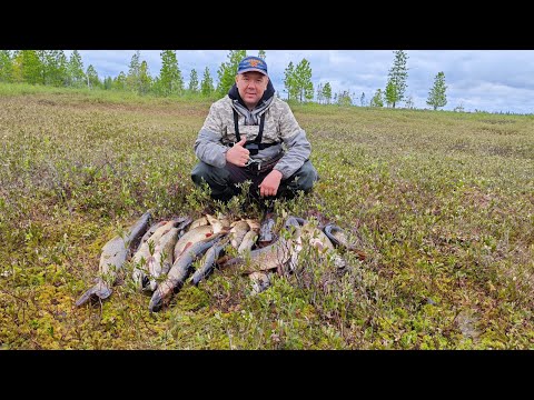 Видео: Открыли сезон по зубастой, щука на спиннинг с лодки.