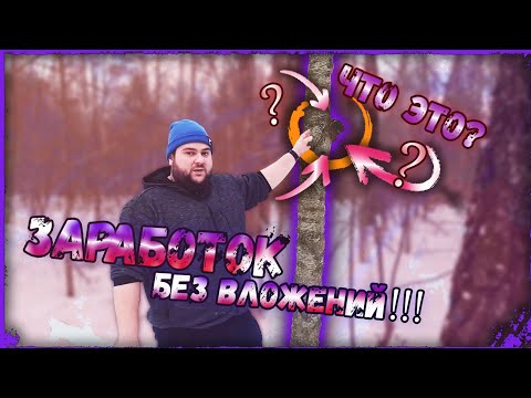 Видео: БИЗНЕС БЕЗ ВЛОЖЕНИЙ/КАК ЗАРАБОТАТЬ НА ЧАГЕ!!!