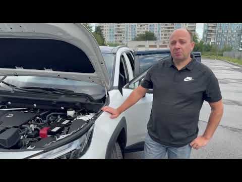 Видео: 22 августа 2025 г.