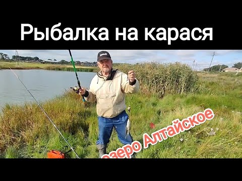 Видео: Рыбалка карася на озере Алтайское (Куринка) возле деревни Лукьяновка