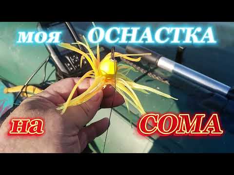 Видео: ОСНАСТКА ДЛЯ ЛОВЛИ СОМА НА КВОК.