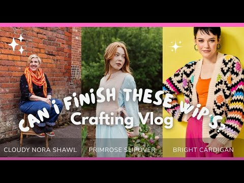 Видео: Смогу ли я закончить эти проекты за 2 недели? | Видеоблог о рукоделии | FrannyDoMakes