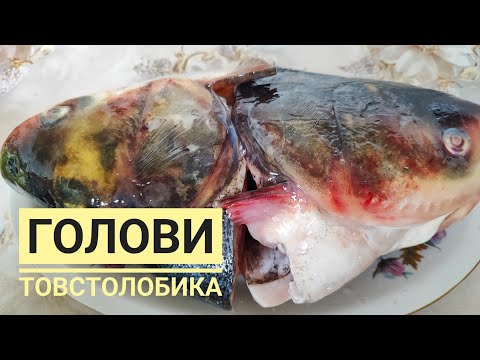 Видео: Готую РИБНІ ГОЛОВИ по новому...