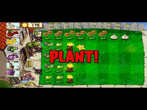 Видео: Выживание день.