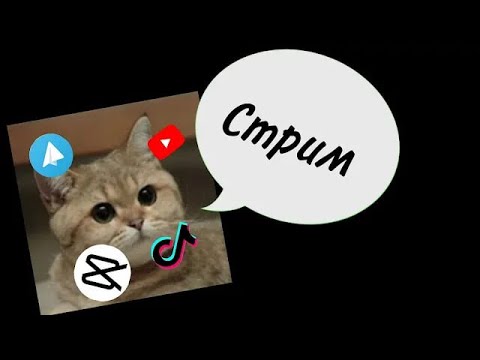 Видео: СТРИМ|ИГРЫ|ОБЩЕНИЕ|ЗРИТЕЛИ|ПОДДЕРЖКА| !тг !tg !твич !twitch