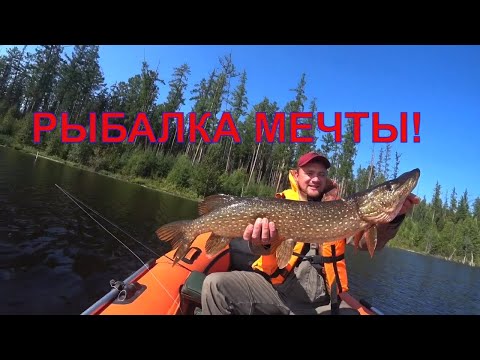 Видео: РЫБАЛКА МЕЧТЫ! ЩУКА БОГУЧАНСКОЙ ГЭС