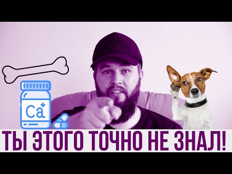 Видео: 15 фактов про кальций в питании собак