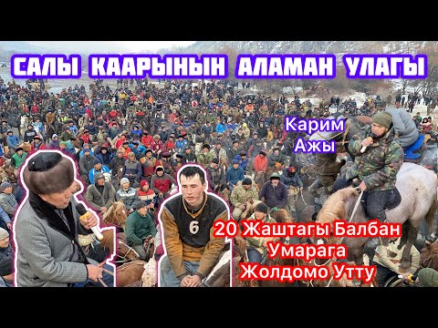 Видео: Ноокаттагы Чоң Аламан Улак 09_01_2023