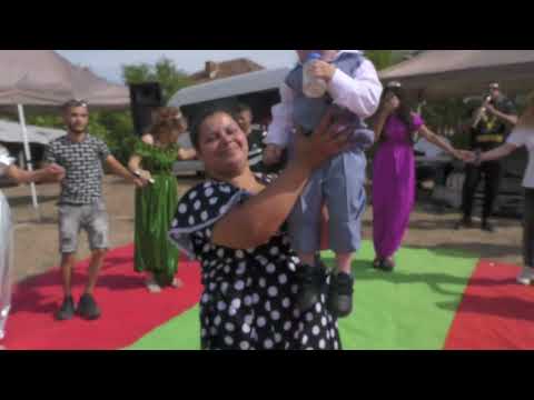 Видео: мечка
