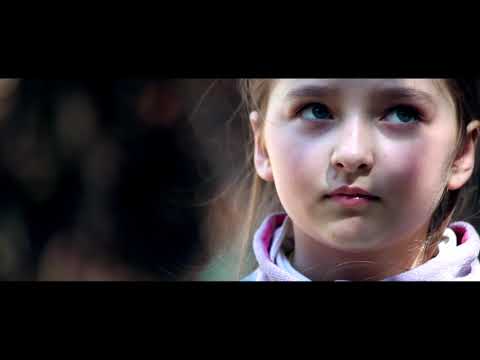 Видео: Творческая мастерская братьев Сидоренко