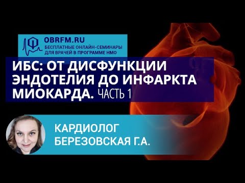 Видео: Кардиолог Березовская Г.А.: ИБС: от дисфункции эндотелия до инфаркта миокарда. Часть 1