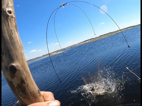 Видео: Рыбалка на паук подъёмник САЗАНЫ МОНСТРЫ рекомендую его посмотреть