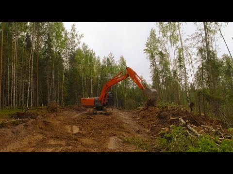 Видео: Думал не выеду из леса. Вот это я встрял! #лесовоз #маз