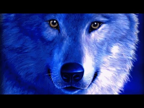 Видео: Хранители волков.Глава 1.Часть 3.