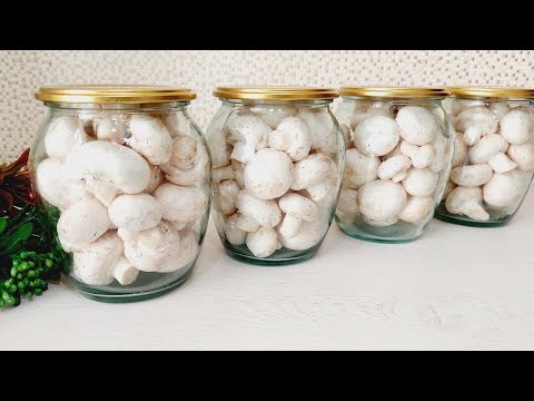 Видео: БЕЗ заморозки! БЕЗ холодильника! Вот как я СОХРАНЯЮ ГРИБЫ в течение 1 года! #грибы #шампиньоны