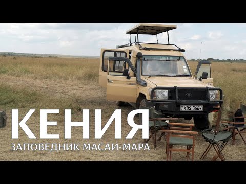 Видео: ЗАПОВЕДНИК МАСАИ-МАРА | КЕНИЯ