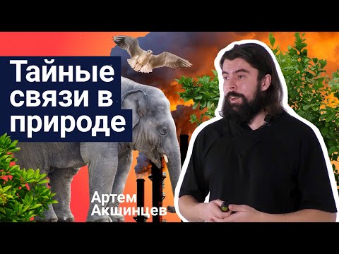 Видео: Стань учёным! | Тайные связи в природе - Артём Акшинцев