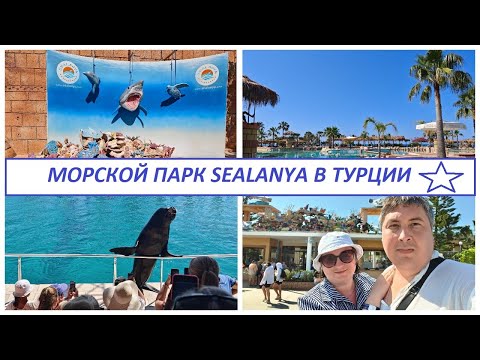 Видео: Морской парк SEALANYA в Турции. Классная семейная экскурсия в Аланье. В поисках рыбок.