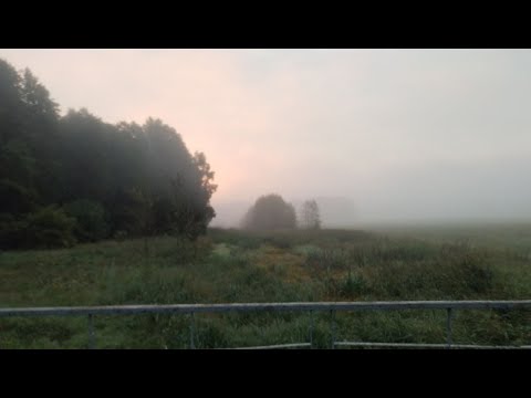 Видео: Дайте Танк - Утро [slowed + reverb] [doomer wave]