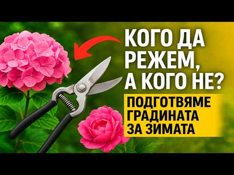Видео: Кого да режем, а кого – не? Коварни хортензии, непретенциозни божури и какво ли още не. Подготвяме