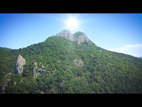 Видео: Следопыт 11 - "Храм солнца"