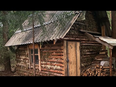 Видео: Один день з жизни охотника в избе,Осень