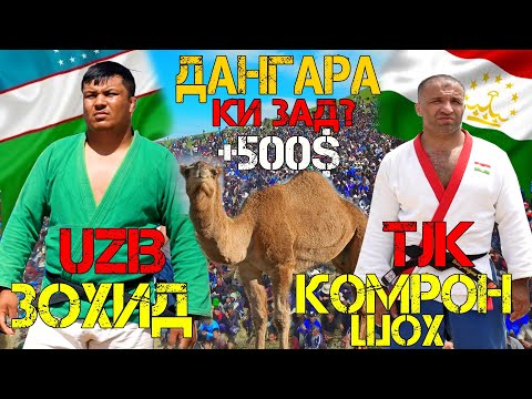 Видео: АНА ГУШТИН КОМРОНШОХ ЗОХИД ИХЕЛ ГУШТИН ПЕШ НАБД ДАНГАРА БУЛЁНИ БОЛО