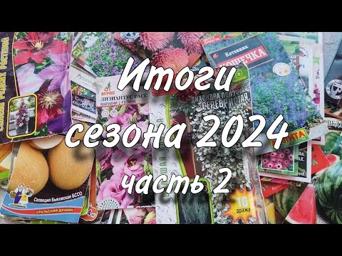 Видео: Итоги огородного сезона 2024. Часть 2. Зелень, арбузы, дыни, тыквы, кабачки, цветы