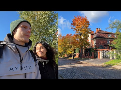 Видео: Да, это обычные улицы Калининграда...