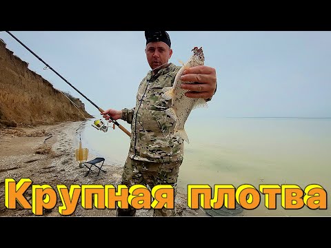 Видео: Рыбалка на Маныче наловил крупной плотвы.