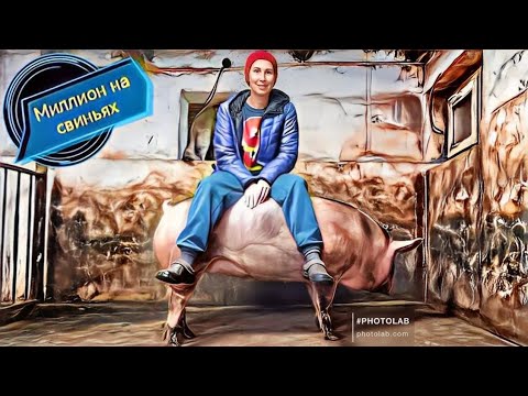 Видео: ‼️Какой выбрать‼️ПРЕМИКС‼️ для хорошего старта поросят!