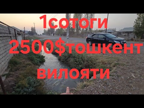Видео: 12 соток дан 2 та ер сотилади Тошкент вилояти уртачирчик тумани 
