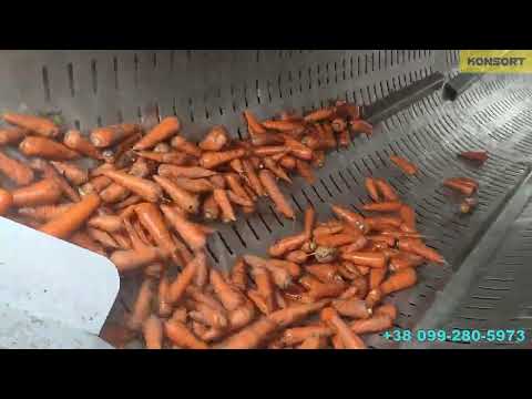 Видео: Лінія переробки моркви - мийка, сушка, сортування овочів/ Carrot processing line