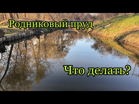 Видео: Родниковый пруд. Плюсы и минусы. Проблемы и их решение. Мой пруд без пленки. Пруд на дачном участке.