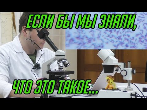 Видео: Что вырастет в грязной воде? | ОЭК