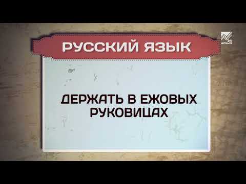 Видео: Разговорник (русский язык) (31.10.2022)