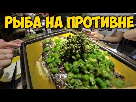 Видео: ЕДА В КИТАЕ. РЫБА НА ПРОТИВНЕ🐟 ПРОГУЛКА С НАШИМ УЧИТЕЛЕМ ДЖЕКОМ. МЫ ЗАВЕЛИ КОШКУ.