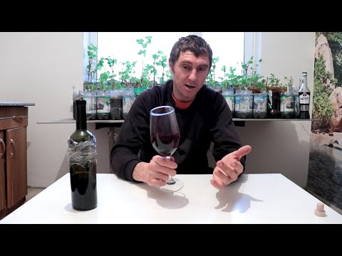 Видео: Слепая дегустация вина!!! Угадываем сорт винограда.Офигенное вино!!!