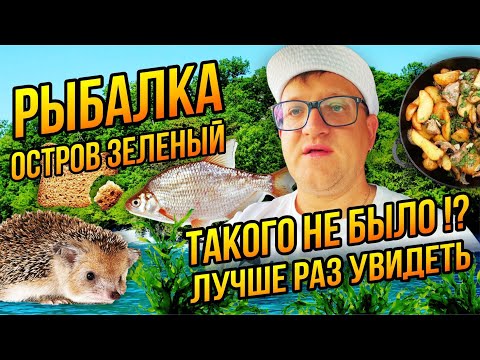 Видео: Невероятная рыбалочка на острове Зеленый | Волга, водоросли, ночной прилив и отлив