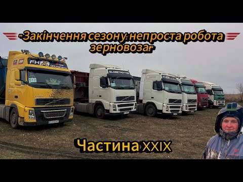 Видео: "Легко чи важко? Робота зерновоза у розпалі! Хмельниччина молотить кукурудзу та збирає буряк!"