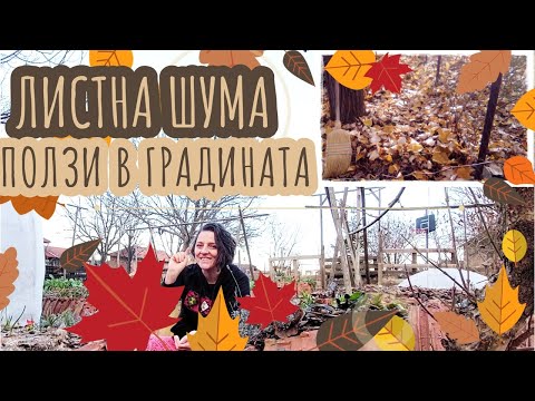 Видео: НЕ  изхвърляйте и палете листата! Използвайте шумата в градината!