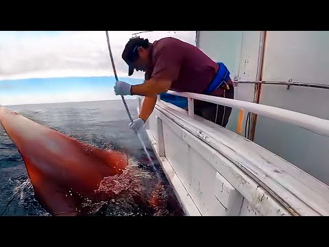 Видео: НЕВЕРОЯТНЫЕ СЛУЧАИ НА РЫБАЛКЕ, СНЯТЫЕ НА КАМЕРУ