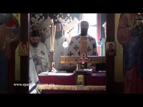 Видео: Хиротонија хорепископа новобрдског и панонског Г. Максима