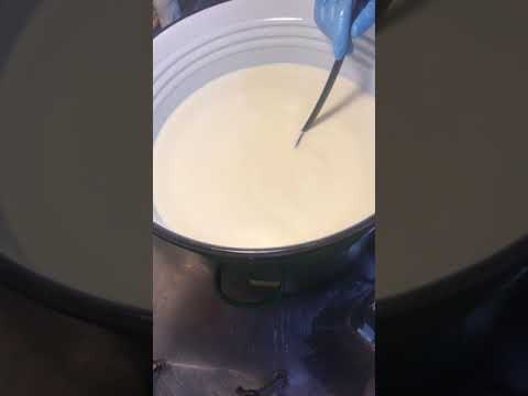 Видео: Полутвёрдый сыр Монтерей Джек в домашних условиях. Разбор заквасочных культур.