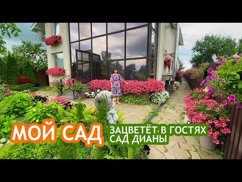 Видео: Мой сад. Зацветёт в гостях. Сад Дианы.