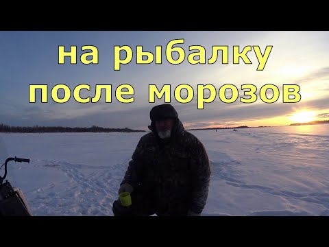 Видео: Весёлая рыбалка. На Обь за щукой ,но у щуки другие планы.