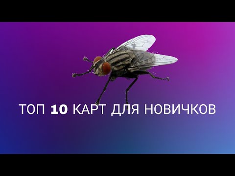 Видео: ТОП 10 КАРТ ДЛЯ НОВИЧКОВ (Kog и DDracenetwork)