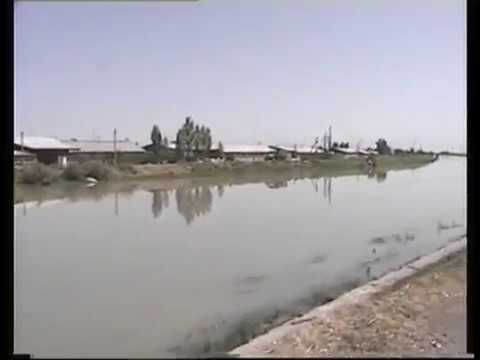 Видео: На машине проездом через Гулистан