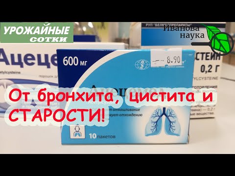 Видео: От бронхита, цистита, бесплодия и старости знакомый незнакомый АЦЦ! Сравниваем разных производителей