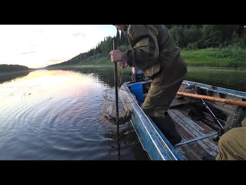 Видео: Ведро рыбы за 5 минут на удочку. Проверка дедовских ловушек. Копчу окуня.Таежная изба это второй дом